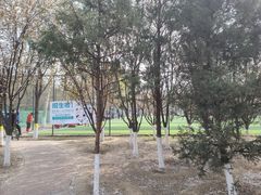 -太阳宫足球俱乐部