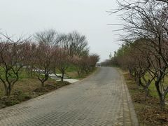 梅林-上海海湾国家森林公园