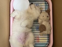 -美联众合动物医院·24h转诊中心