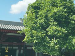 -大慈恩寺(大雁塔)