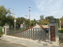 -云岗森林公园