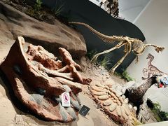 -自贡恐龙博物馆