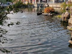 -西湖游船