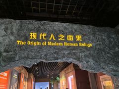 -国家自然博物馆