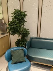 -木北护肤造型