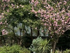 -成都市文化公园