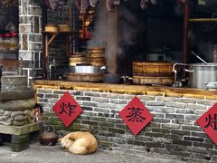 -青城甲(青城山店)