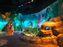 -沈阳海洋探索中心