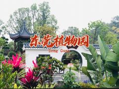 -东莞植物园