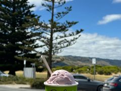 -Dooley's Premium Ice Cream