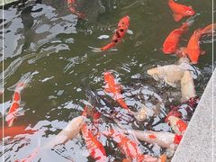 -阳春市花园酒店