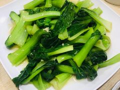 -广达眼镜炖罐(广达店)
