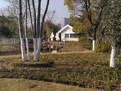 景点-金银湖国家城市湿地公园