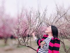 -蜀冈西峰生态公园