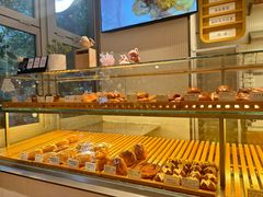 -WHEN PIGS FLY当猪飞
