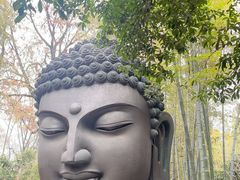 -杭州植物园