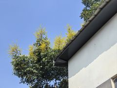-青龙山国家森林公园