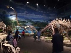 -自贡恐龙博物馆