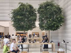 -Apple零售店(济南恒隆广场店)