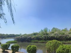 -丁香湖公园