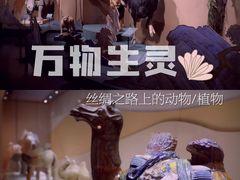 -中国丝绸博物馆