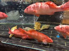 -许家菜(望江店)