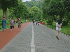 -龙头寺公园