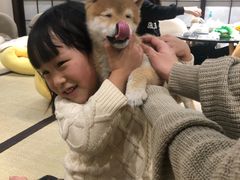 -逗柴咖啡屋·狗咖猫咖宠物桌游
