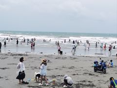 -江山半岛白浪滩景区