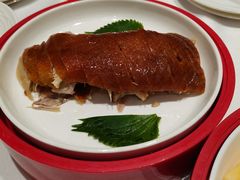 -阿五黄河大鲤鱼(海尚店)