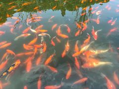 -重元寺香积厨素斋馆