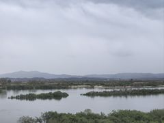 -河口景区