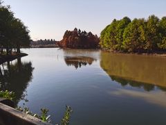 -上海海湾国家森林公园