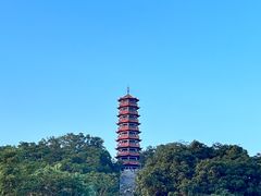 -红花山公园