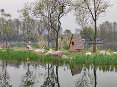 -武汉动物园