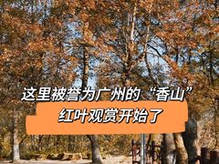 -广州市石门国家森林公园