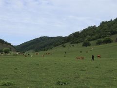 -关山草原