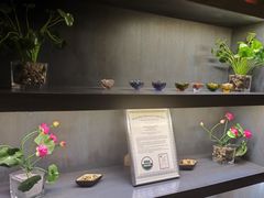 -樱蘭全息养生馆(三里屯店)
