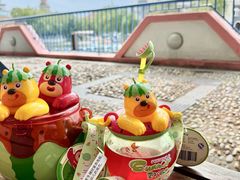 -青岛方特梦幻王国