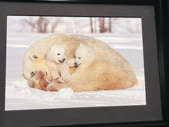 -罗红摄影艺术馆