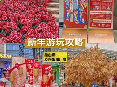 -万科生活广场(东莞松山湖店)