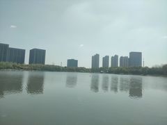 -南翔镇银翔湖公园