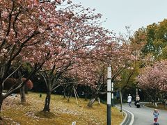 -苏州河梦清园环保主题公园