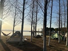 -滆湖低碳生态公园