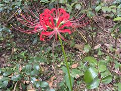 -布丁严选酒店(杭州武林西湖文化广场地铁站店)