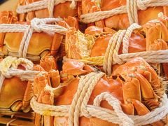 -喜洋洋蟹庄(阳澄湖店)