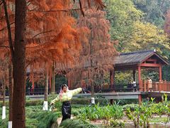 -重庆彩云湖湿地公园