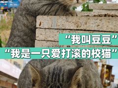 -东南大学(四牌楼校区)
