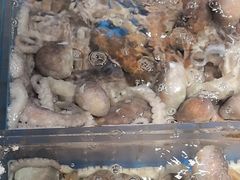 -徐记海鲜(大雁塔|金都店)