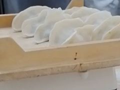-真阿婆水饺(科技路西口店)